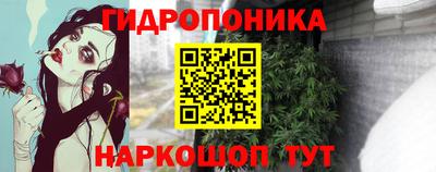 прущие крисы Кунгур